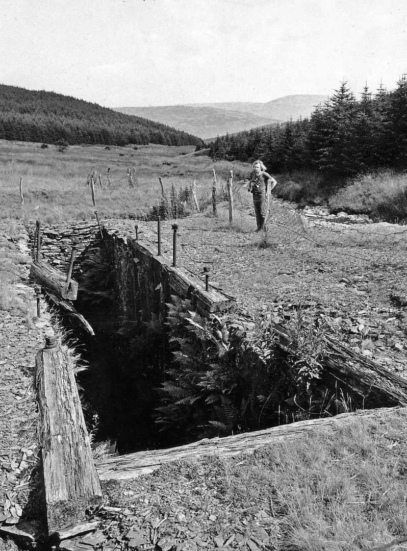 Esgair Hir pmping wheel pit 1972